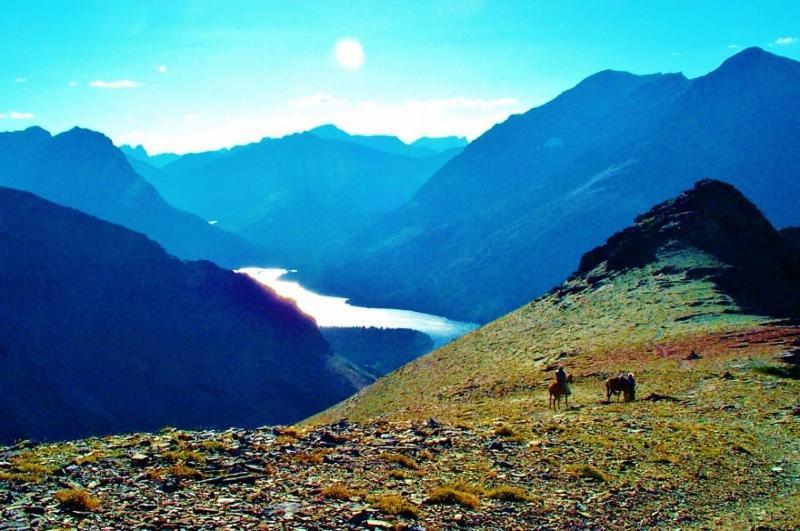 Dancing Bears Inn East Glacier Park Village Bagian luar foto