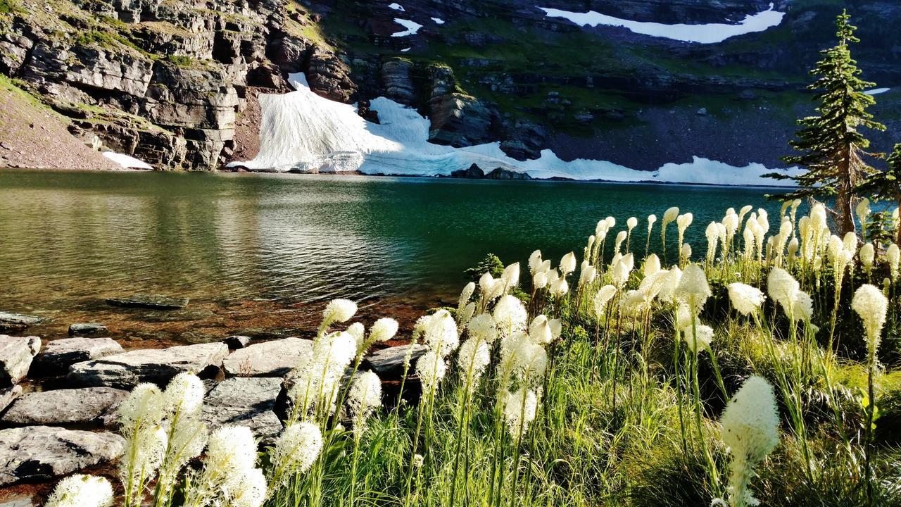 Dancing Bears Inn East Glacier Park Village Bagian luar foto