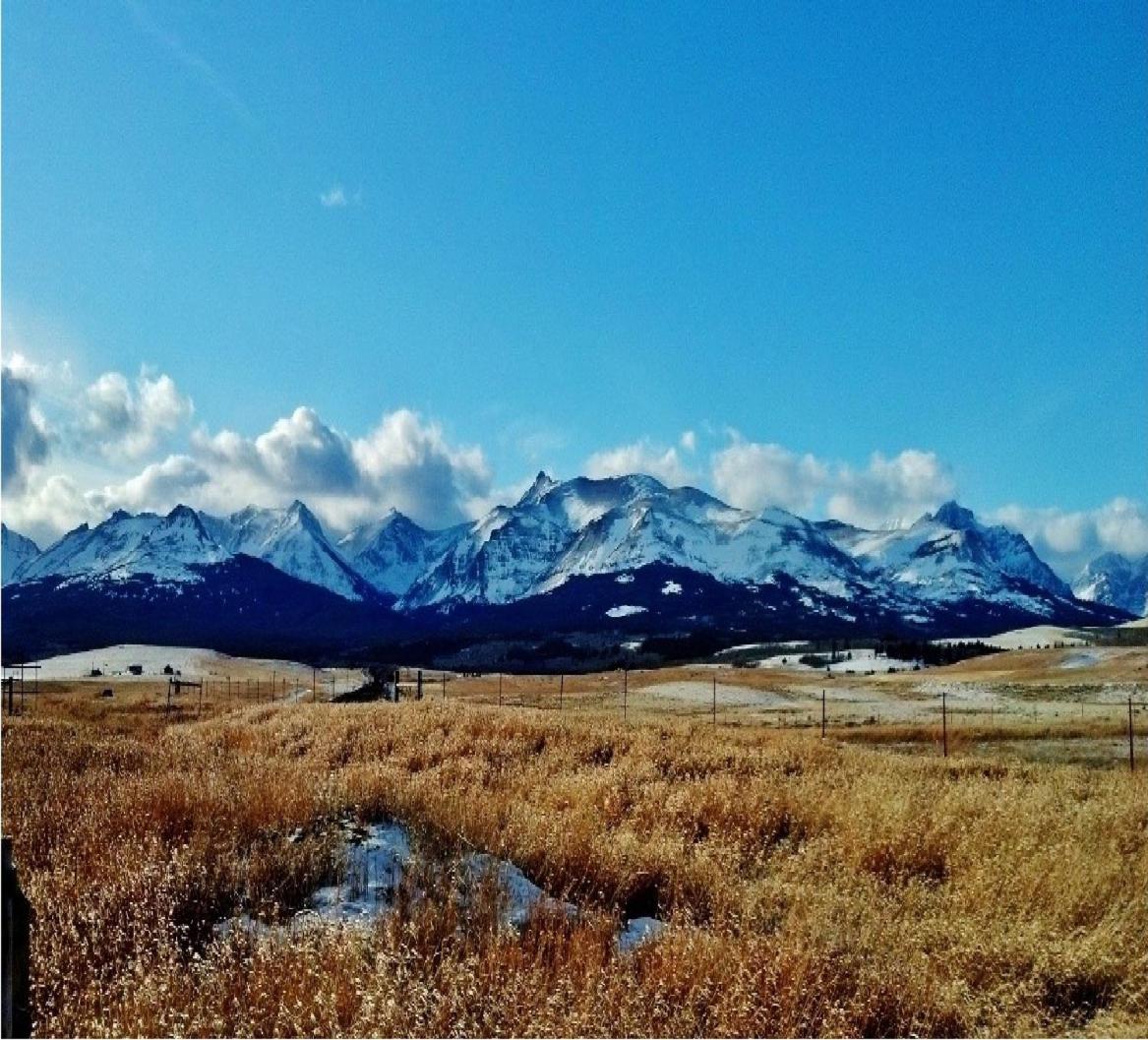 Dancing Bears Inn East Glacier Park Village Bagian luar foto